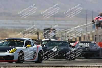media/Mar-30-2025-Pro Autosports (Sun) [[34ff8f16e0]]/2-Blue-White Group/Main Race/